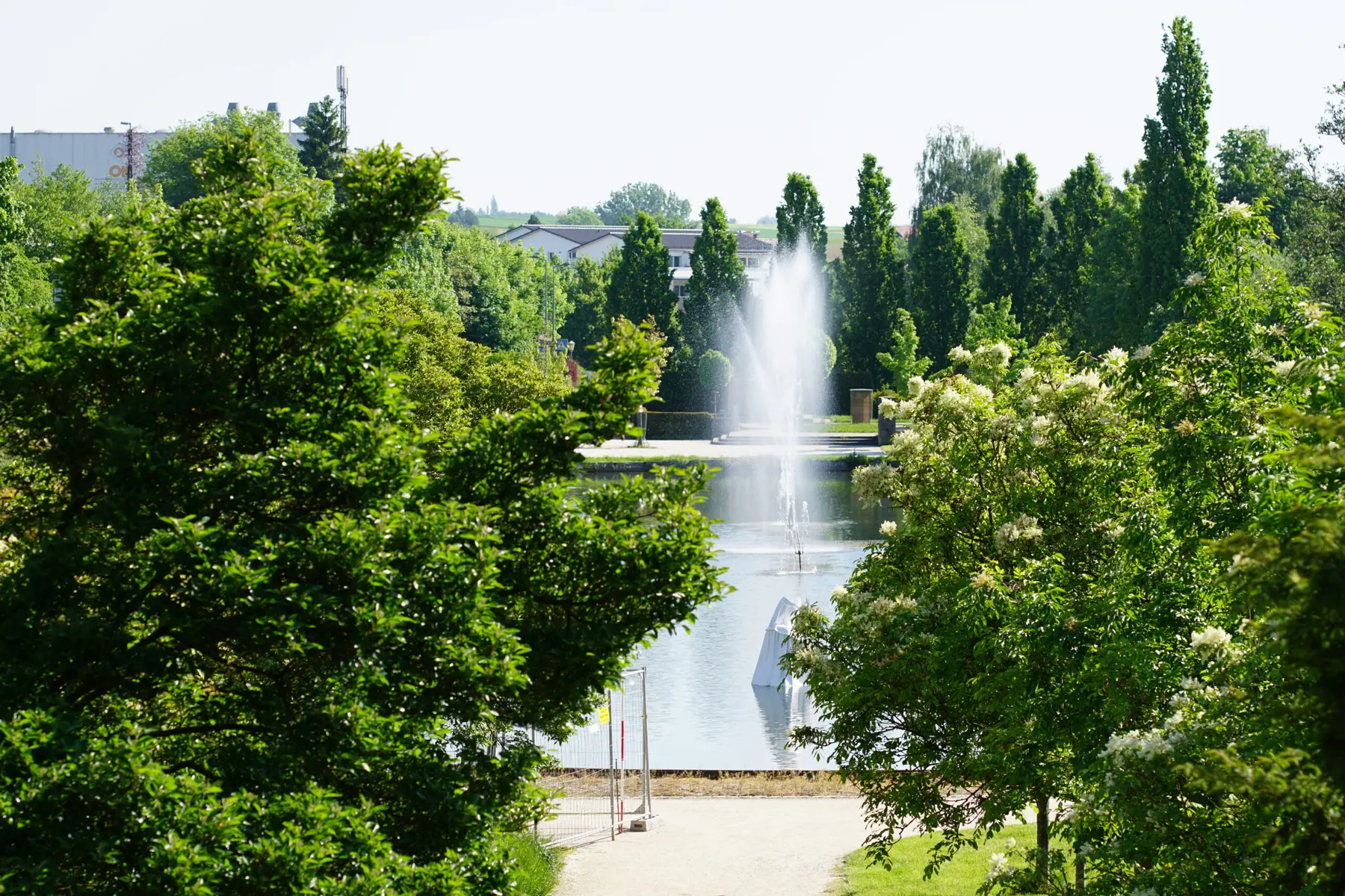 Wasserfontäne in einer grünen Parklandschaft