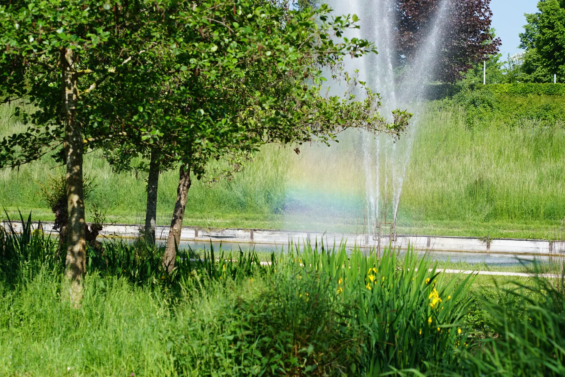 Regenbogen im Licht einer Wasserfontäne