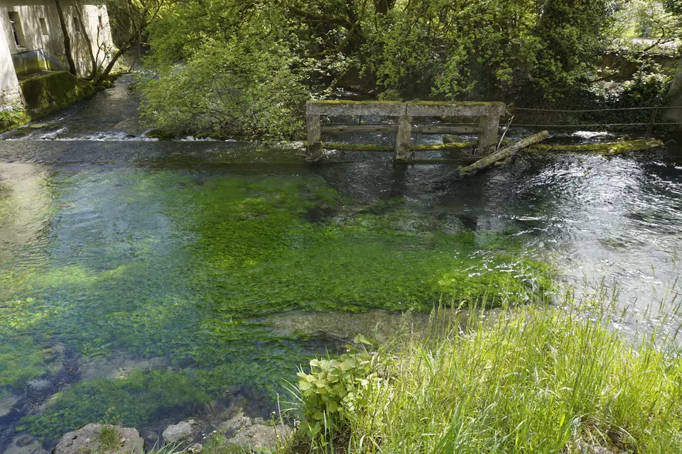 Klares Wasser am Blautopf in Blaubeuren
